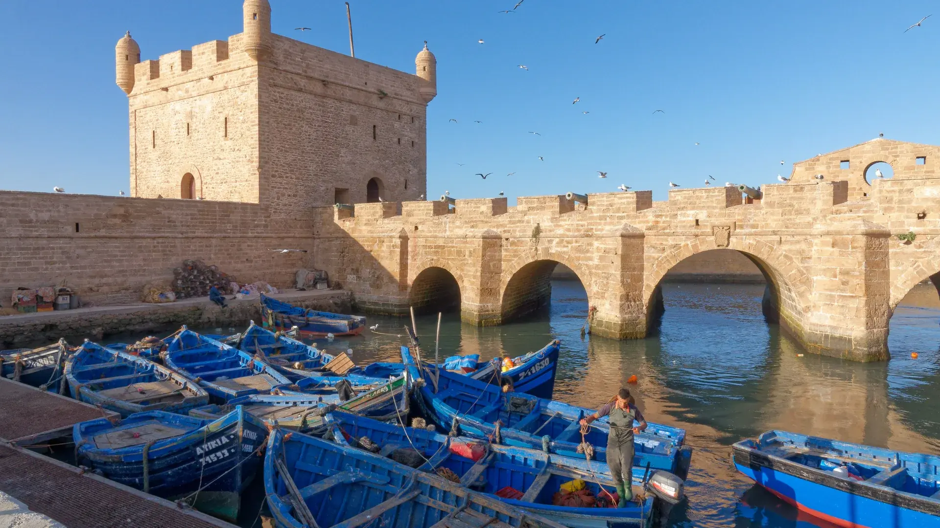 Essaouira şehir manzarası