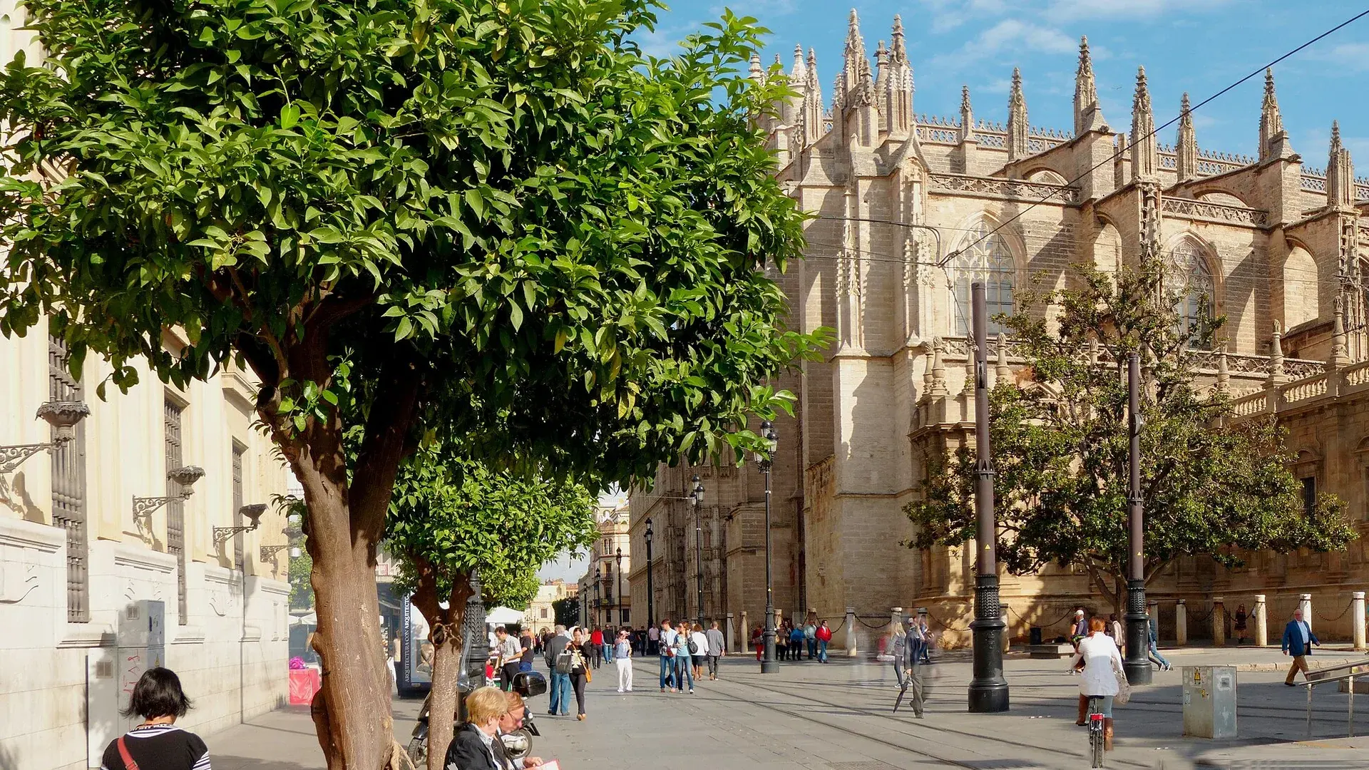 Sevilla’da katedral çevresindeki tarihi sokak ve ağaçlar