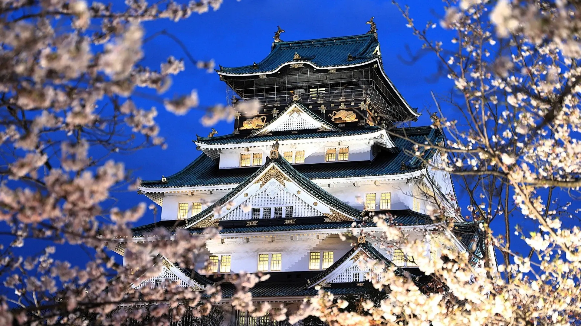 Geleneksel Japon mimarisinin önemli örneklerinden Osaka Kalesi’nin çiçek açmış ağaçlar arasındaki etkileyici görünümü.