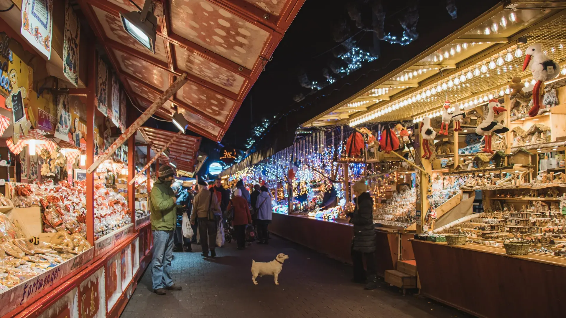 Strasbourg manzarası — Elegant Noel Pazarları Turu – Basel–Zürich Rotası – Türk Hava Yolları ile 4 Gece