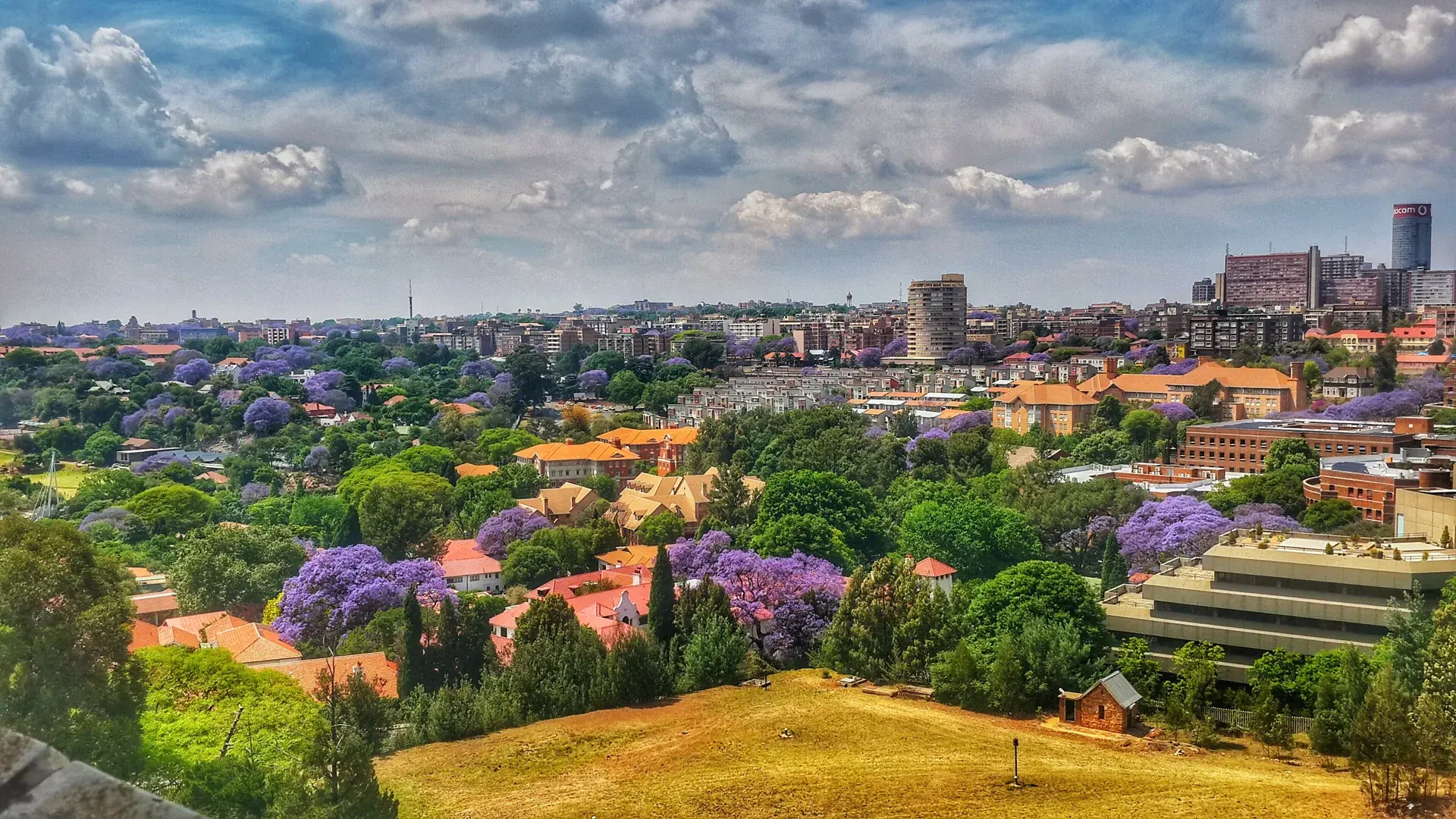 Johannesburg manzarası — Flex Güney Afrika'da 4 Ülke, Victoria Şelalesi Turu – Türk Hava Yolları ile 8 Gece