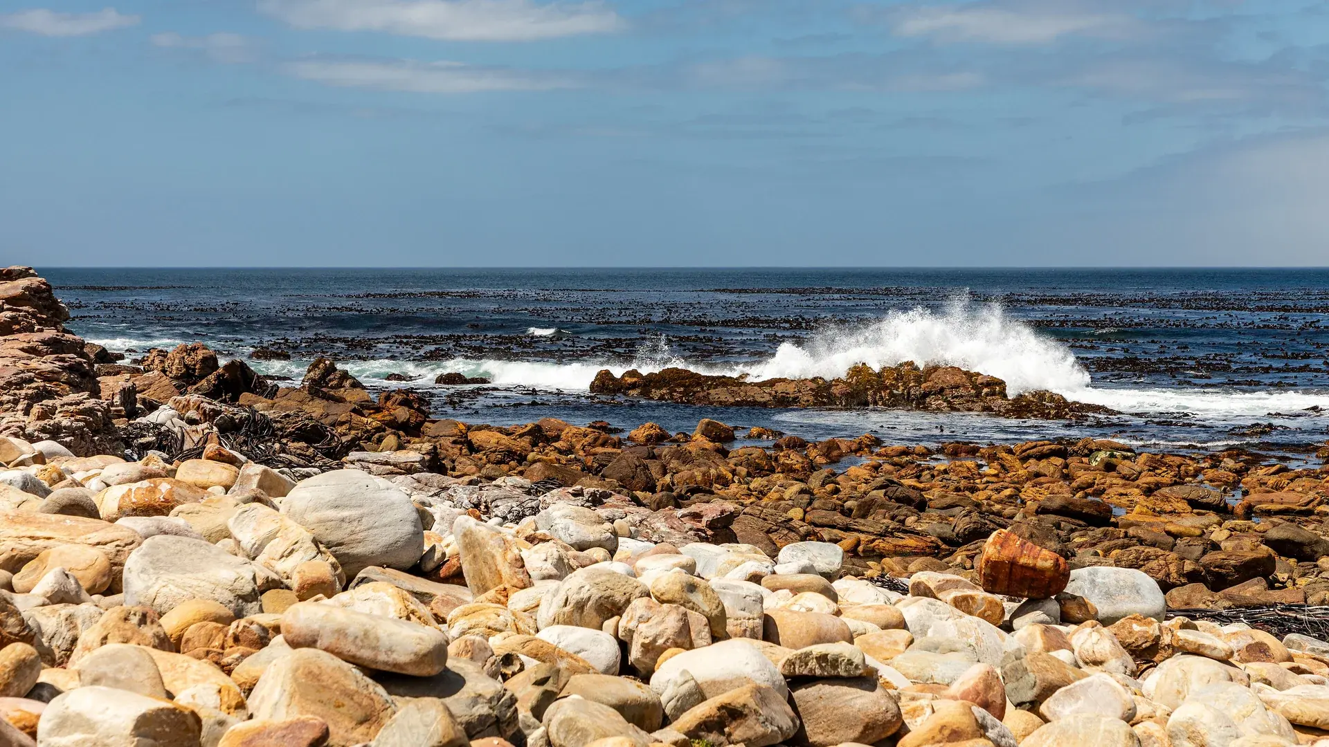 Cape Town manzarası — Flex Güney Afrika, Safari Turu – Türk Hava Yolları ile 5 Gece