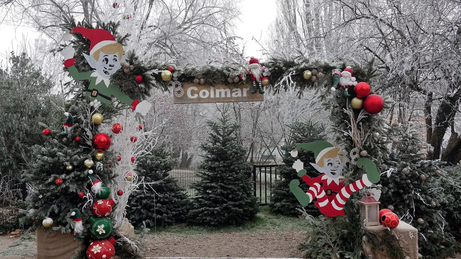 Colmar manzarası — Elegant Noel Pazarları Turu – Zürich–Basel Rotası – Türk Hava Yolları ile 3 Gece