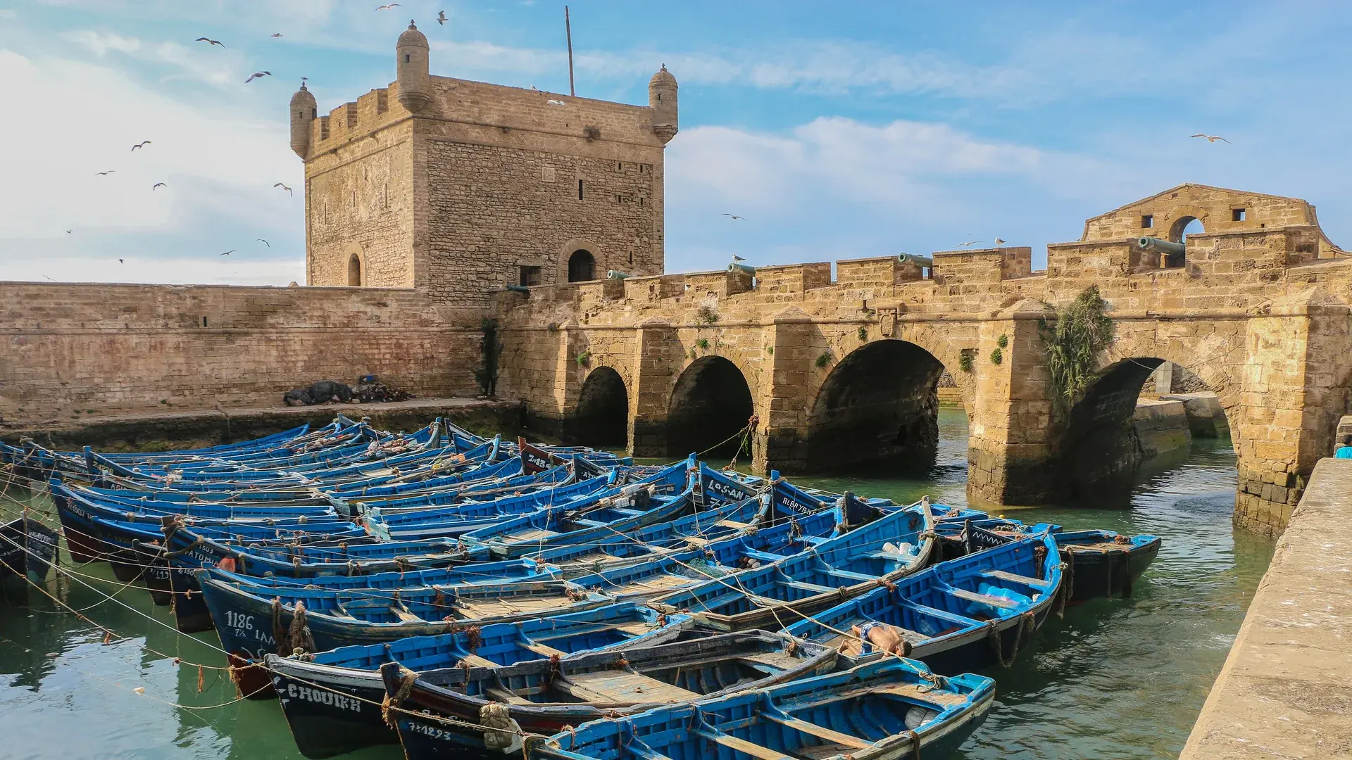 Essaouira manzarası — Elegant Fas Krallar Yolu, Marakeş Turu – Air Arabia ile 4 Gece