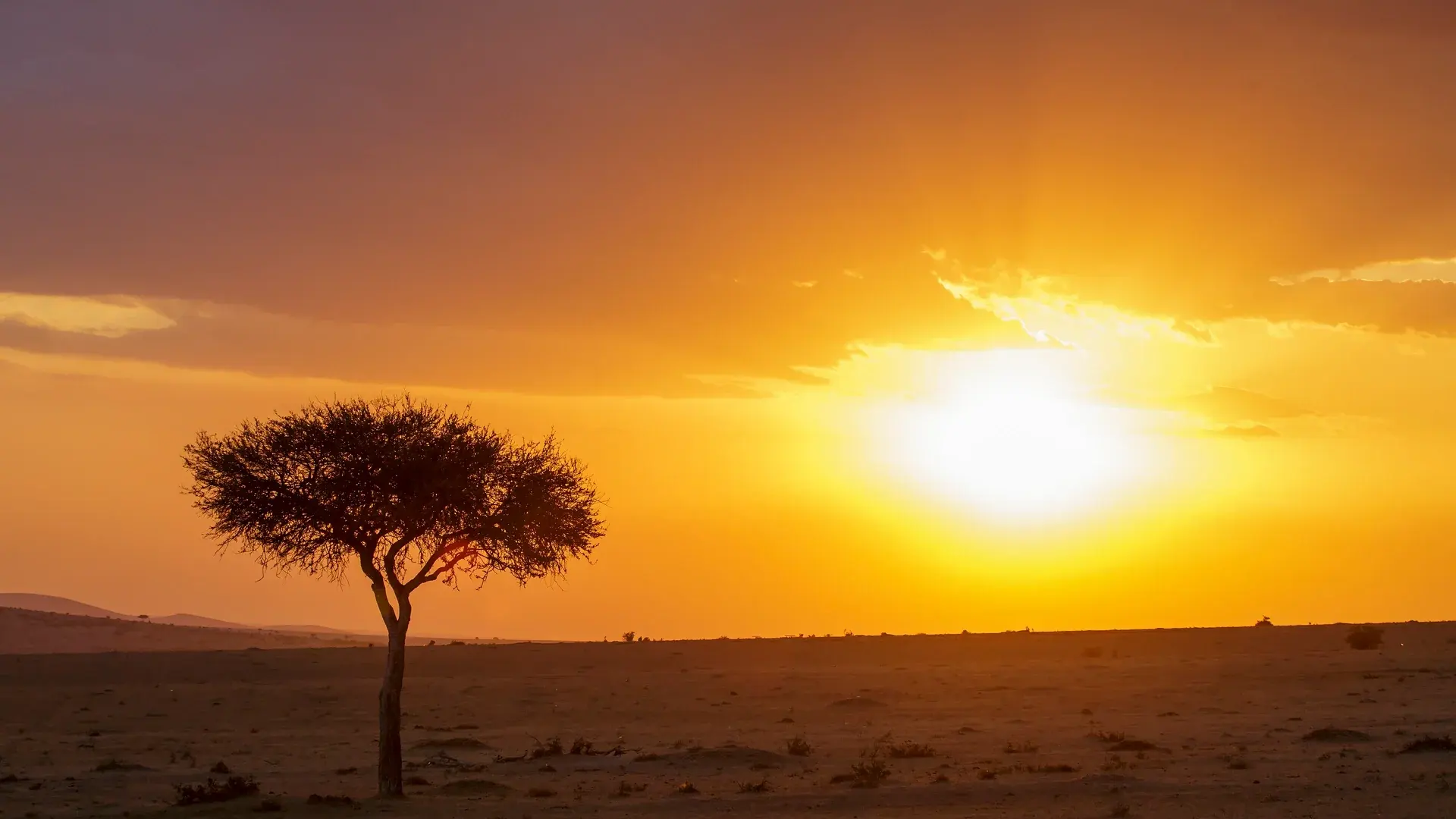 Masai Mara manzarası — Elegant Kenya Büyük Göç Turu – Türk Hava Yolları ile 6 Gece