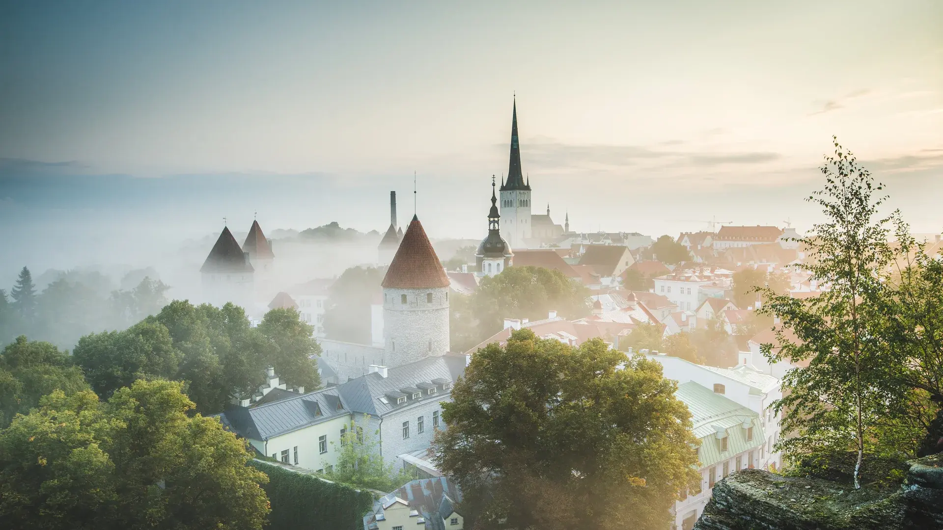 Tallinn şehir manzarası