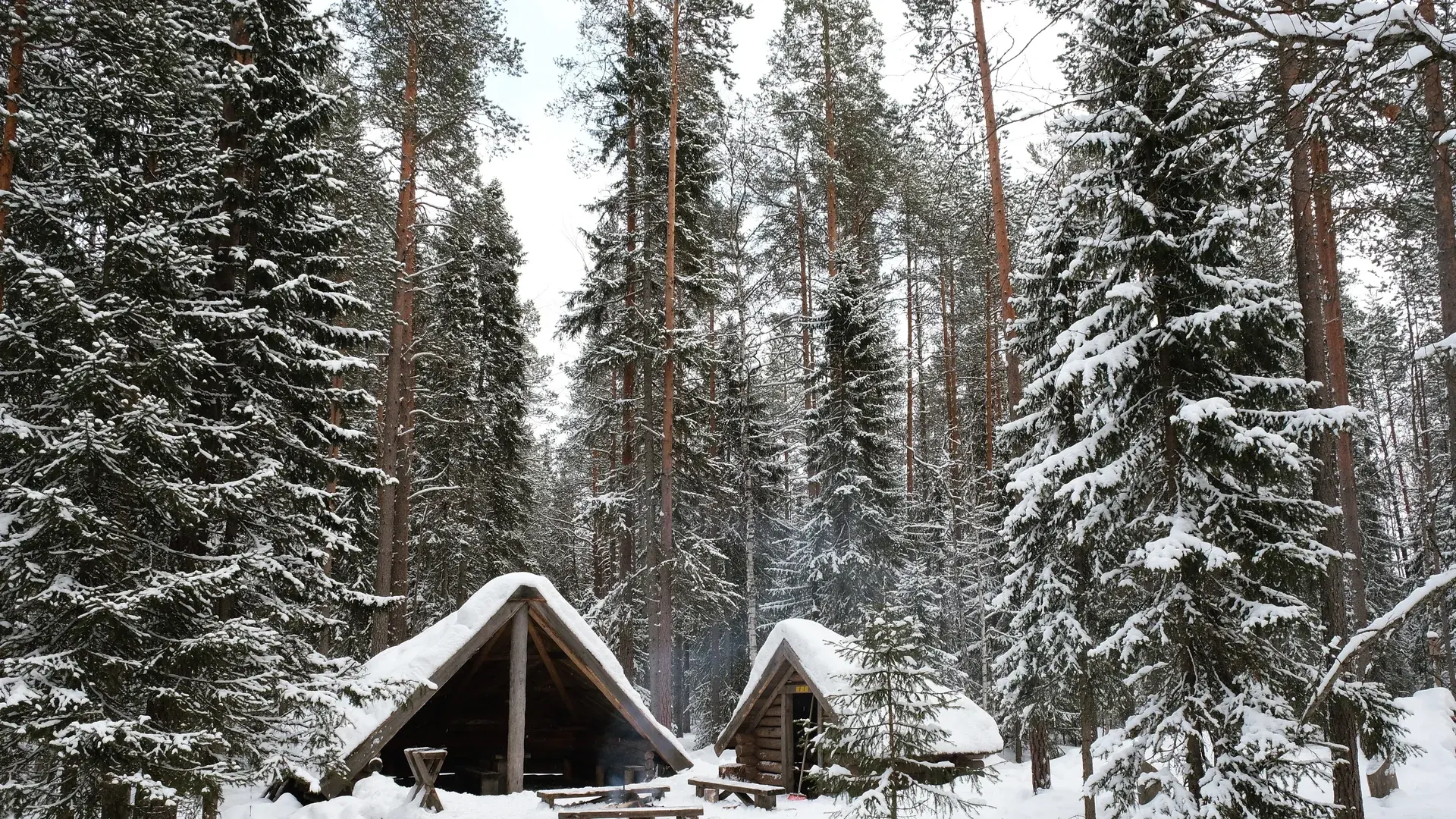 Kuzey Işıkları Lapland Özel Seferi Turu – Pegasus ile 3 Gece Lapland turu görseli