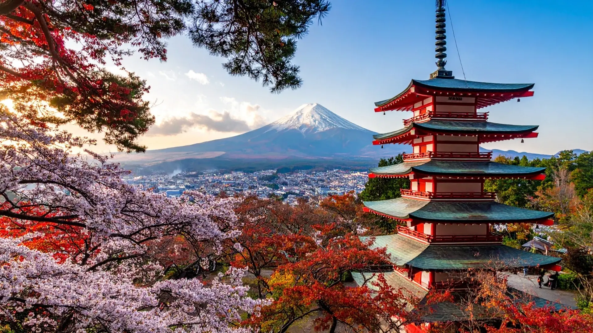 ELEGANT JAPONYA Türk Hava Yolları ile 7 Gece
