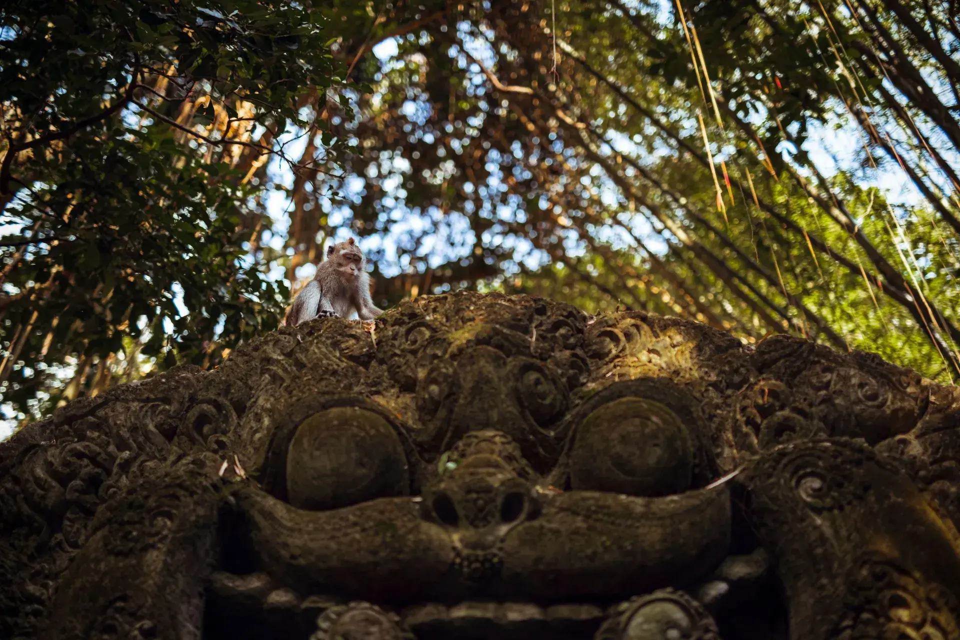 Elegant Ubud ve Bali Turu