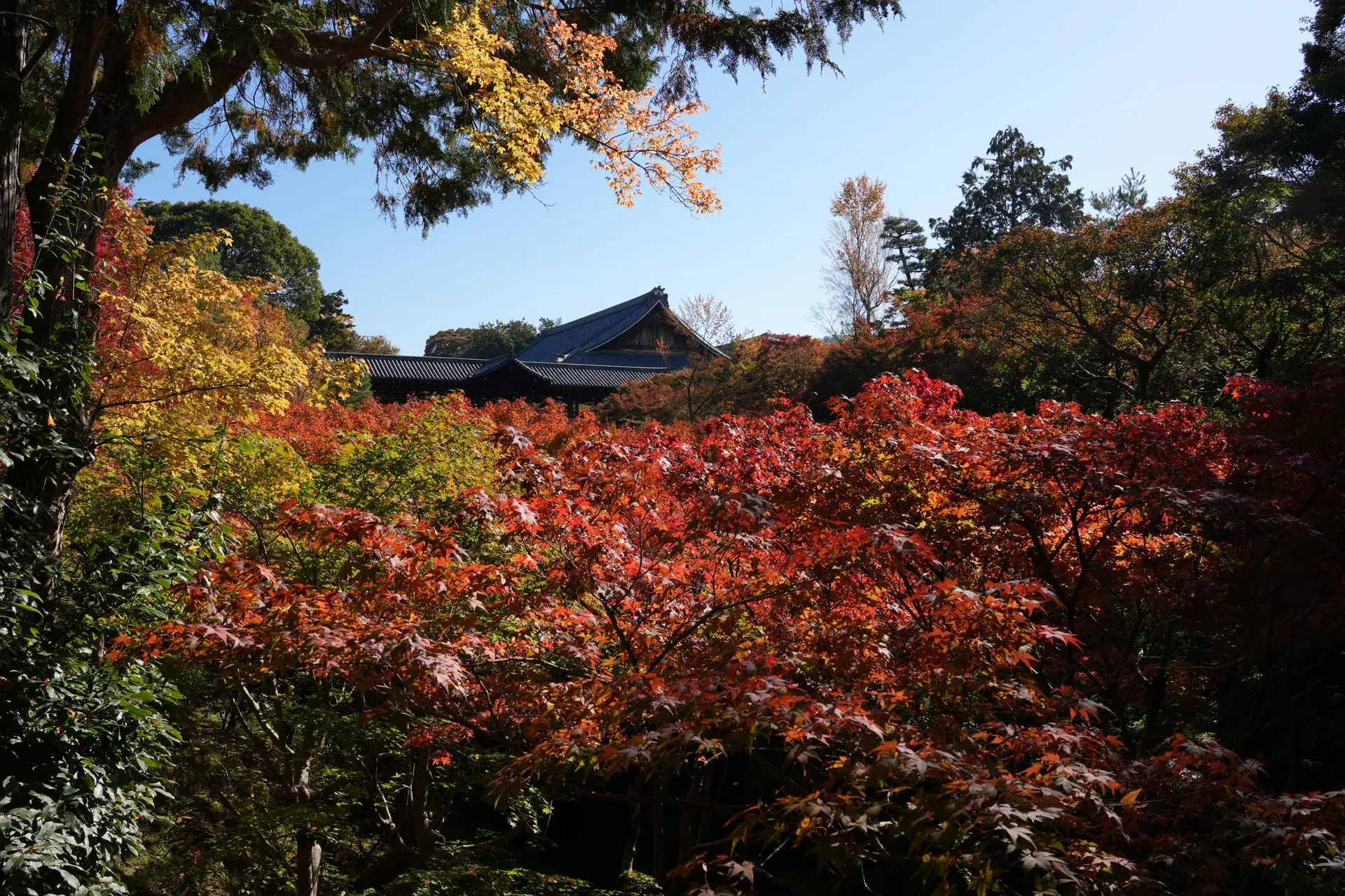 Kyoto şehir manzarası