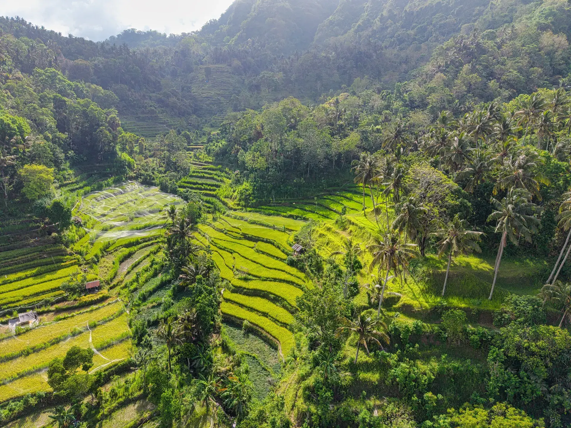 Singapur, Bali ve Kuala Lumpur Turu – 9 gece