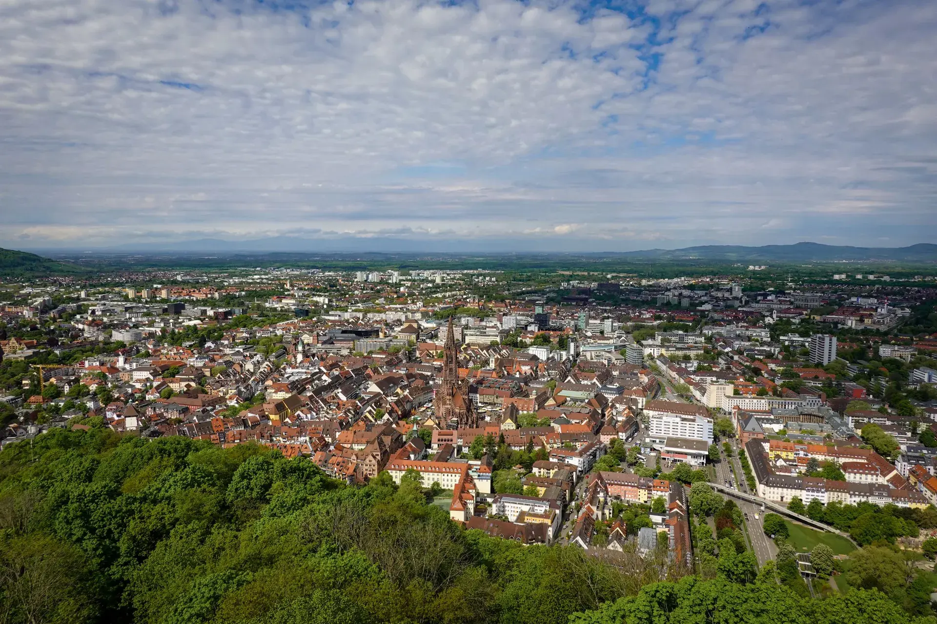 Freiburg şehir manzarası
