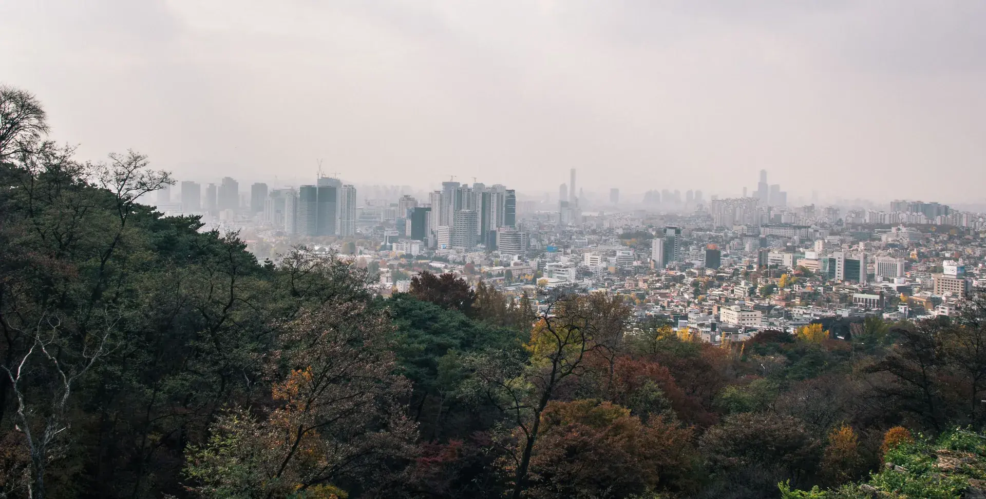 Japonya ve Güney Kore Turu – Turlar dahil, 9 gece, Kasım 2026 dönemi