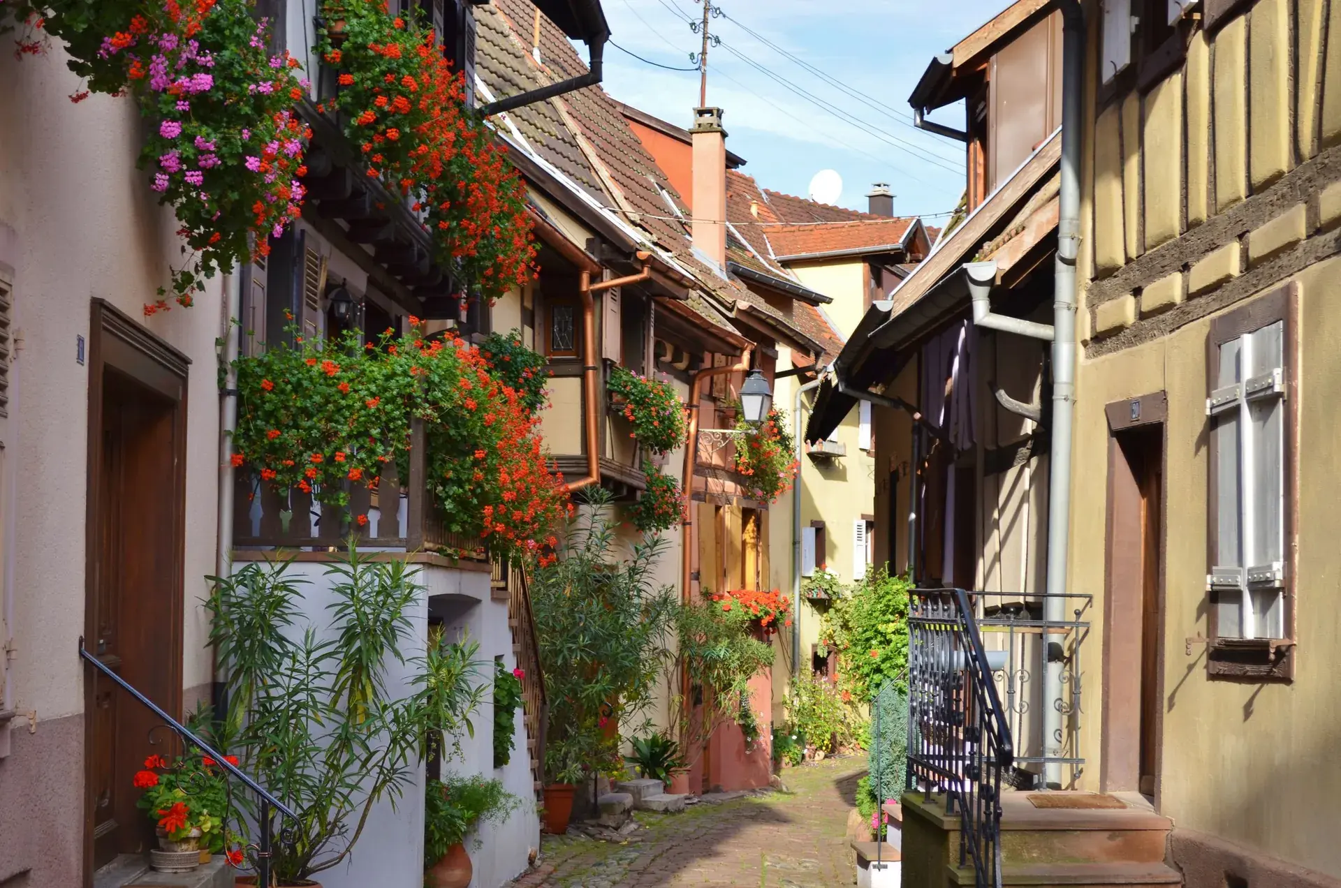 Alsace bölge manzarası