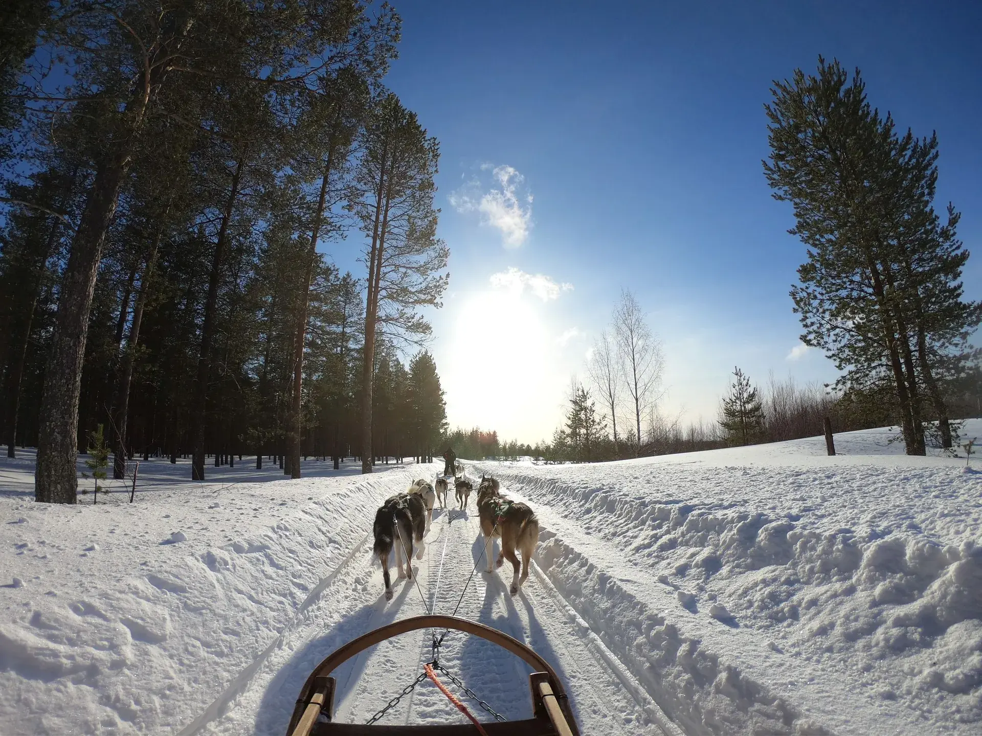 Lapland Turu – Ekonomik, Olof Otel, 3 gece